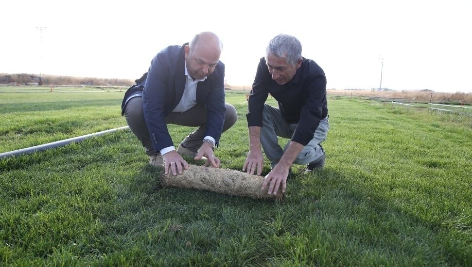 Türkiye'de, bilim insanı Yahya Bulut, 15 yıllık AR-GE sonucu topraksız rulo çim üretti