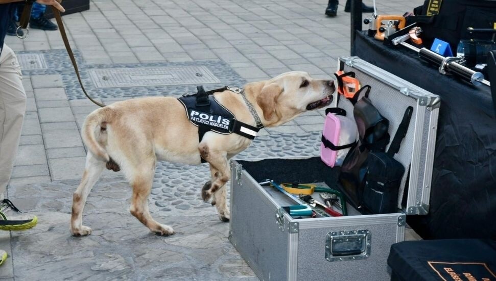 4 ayrı branşta 26 dedektör köpek mevcut: Dedektör köpekler sessiz ama etkili gücümüz