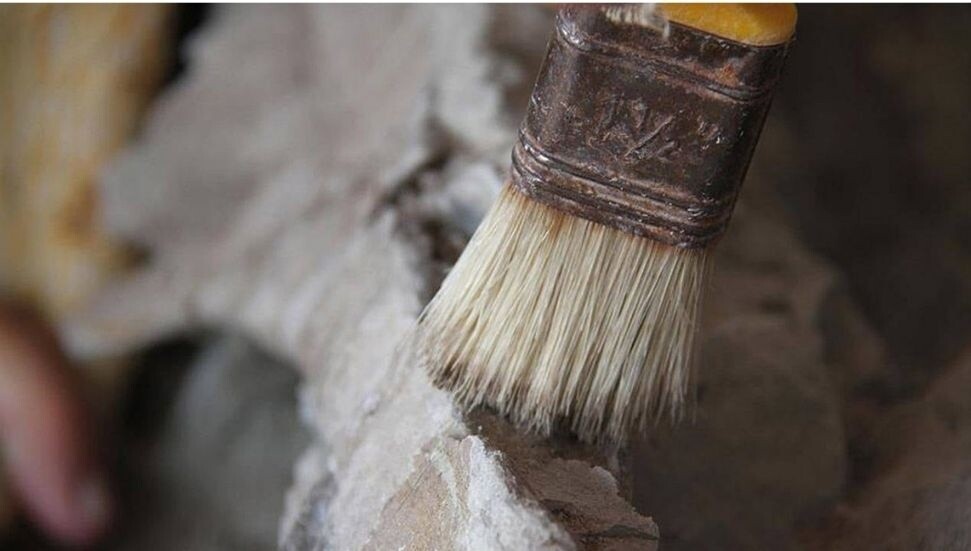 Etiyopya'da 1'i daha önce bilinmeyen bir türe ait 2 insansı fosil bulundu