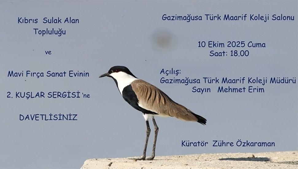 Gazimağusa'da, "2. Kuşlar" sergisi açılıyor