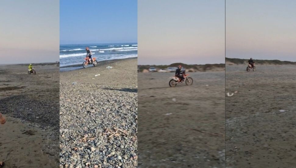 Deniz kaplumbağalarının yaşam alanları tehlikede: LAÇ Belediyesi ve Spot'tan ortak uyarı