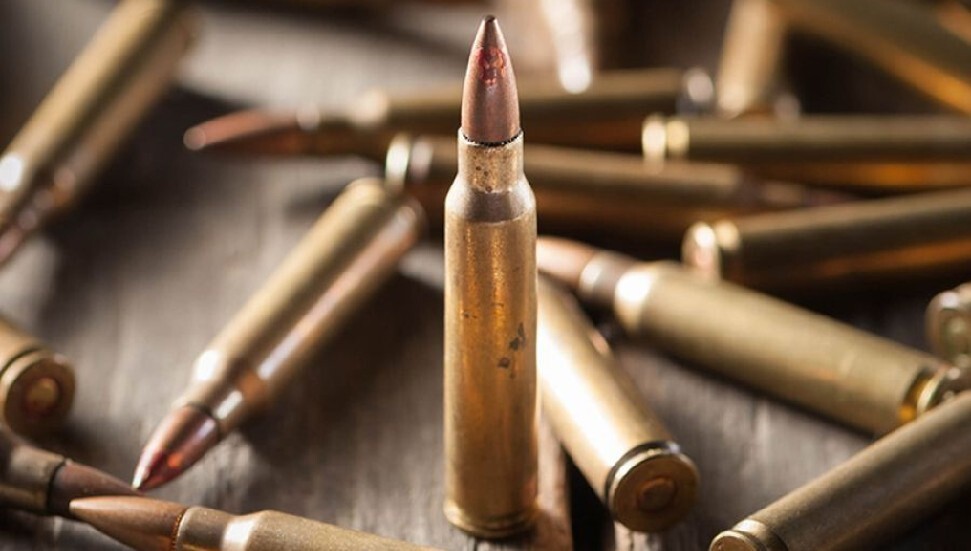 Almanya'da ordunun yaklaşık 20 bin mermisi çalındı