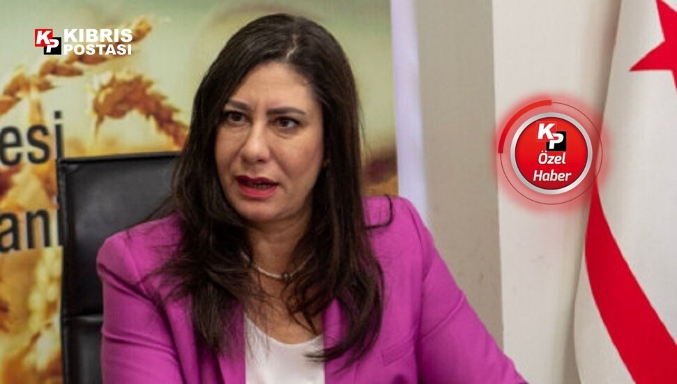 Sıla Usar İncirli: Toplumun bütün kesimleriyle, işbirliği içinde yeni bir dönem kuracağız