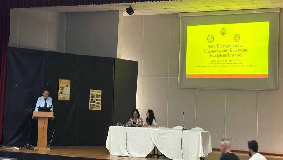 Turunçgillerde yeşillenme hastalığıyla ilgili bilgilendirme toplantısı yapıldı
