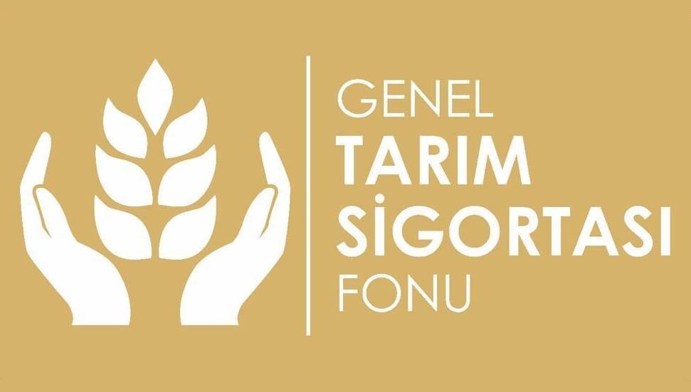 Bağlarda meydana gelen dolu zararıyla ilgili değerlendirme sonuçları askıya alındı