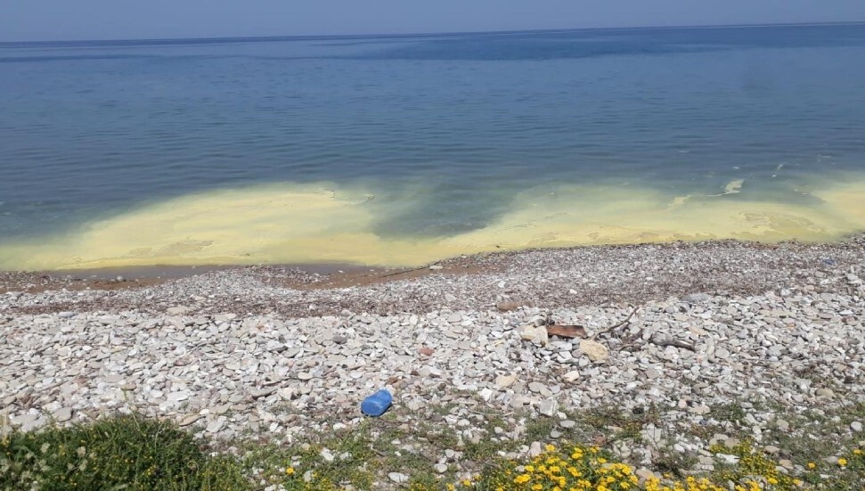 Warning Issued Against Swimming at Lady’s Mile Beach