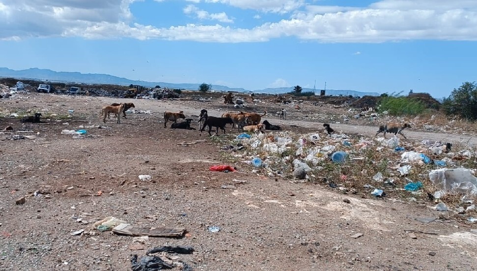 Famagusta's Ağıllar District Demands Urgent Solutions