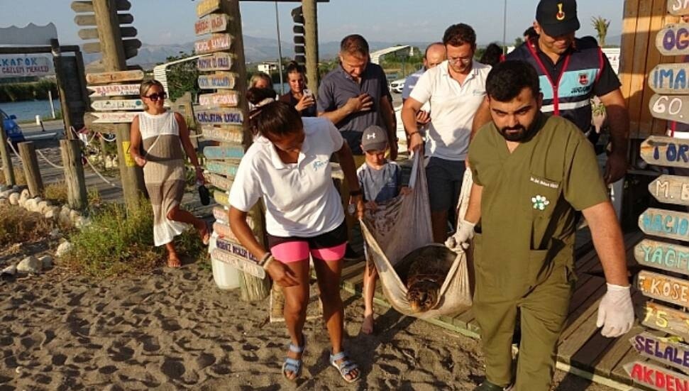 Yaralı caretta caretta cerrahi müdahalenin ardından Akdeniz’e bırakıldı