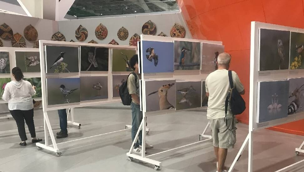 “Kıbrıs Yaban Hayatı” fotoğraf sergisi açıldı
