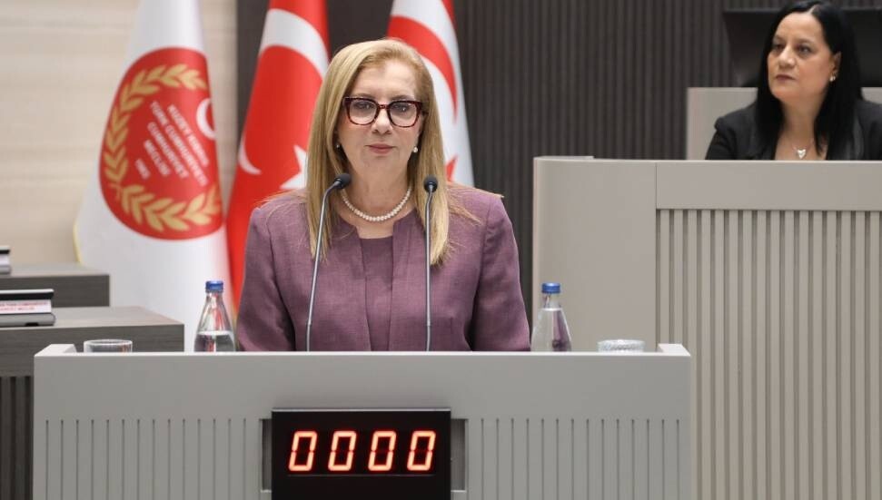 Resmiye Eroğlu Canaltay: Kapsamlı ve modern yöntemlerle yürütülecek bir nüfus sayımına ihtiyaç duyuyoruz