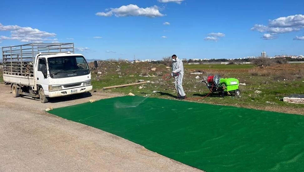 Gazimağusa Belediyesi şap hastalığına karşı önleyici tedbirler aldı: Denetim yapılıyor