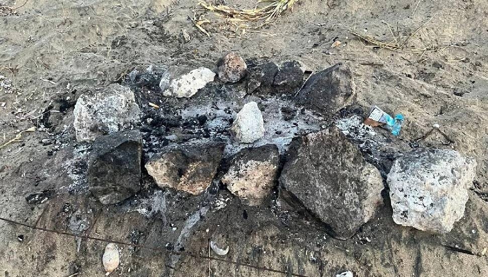 Barbecue Set on Turtle Nest: All Hatchlings Perish