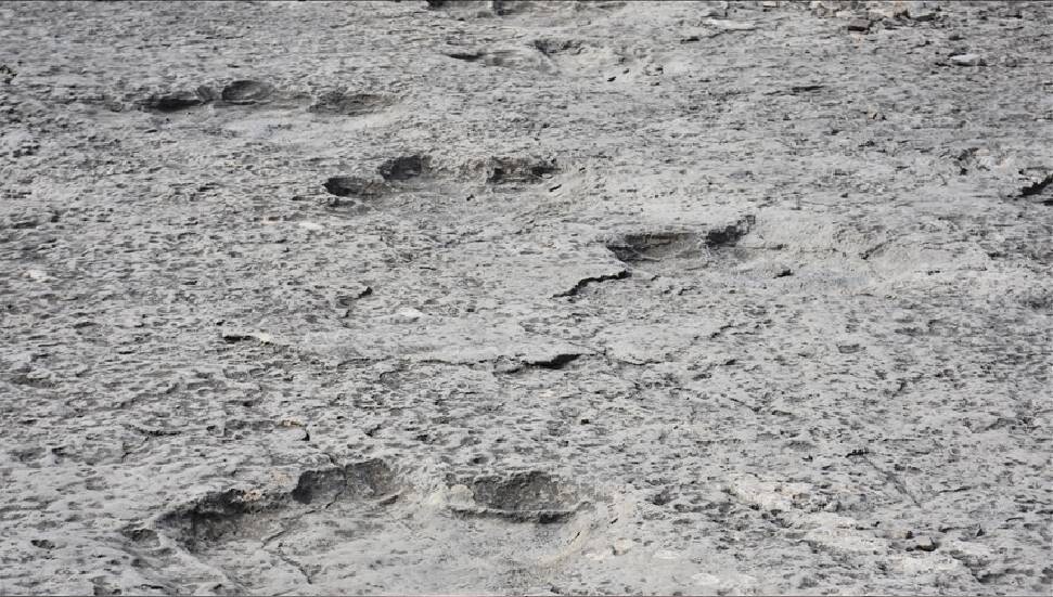 İtalya'da 200 milyon yıl öncesinden kaldığı düşünülen binlerce dinozor ayak izi keşfedildi