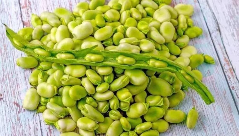 Akdeniz’in göz bebeği! Proteinde kırmızı eti 10'a katlıyor, doğal tansiyon ilacı