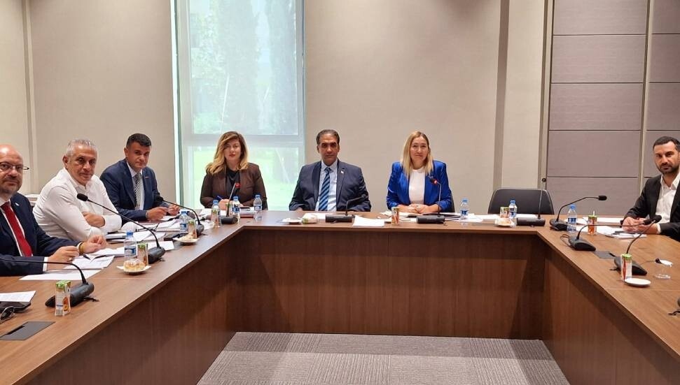 Cumhuriyet Meclisi, Hukuk, Siyasi İşler, Dışilişkiler ve Savunma Komitesi toplandı