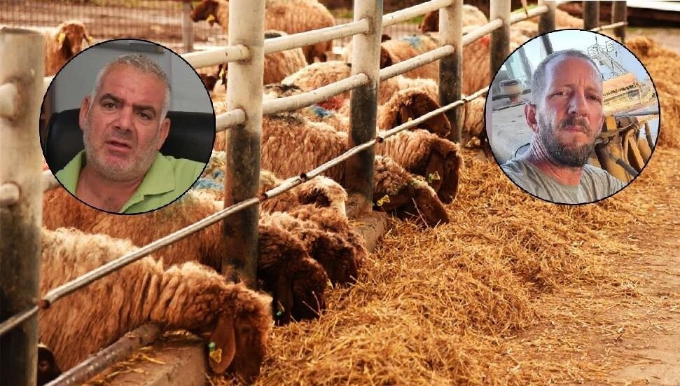 Hayvancılar kuraklık isyanında: Balyasız kalacağız, sütün maliyet hesabını ilettik