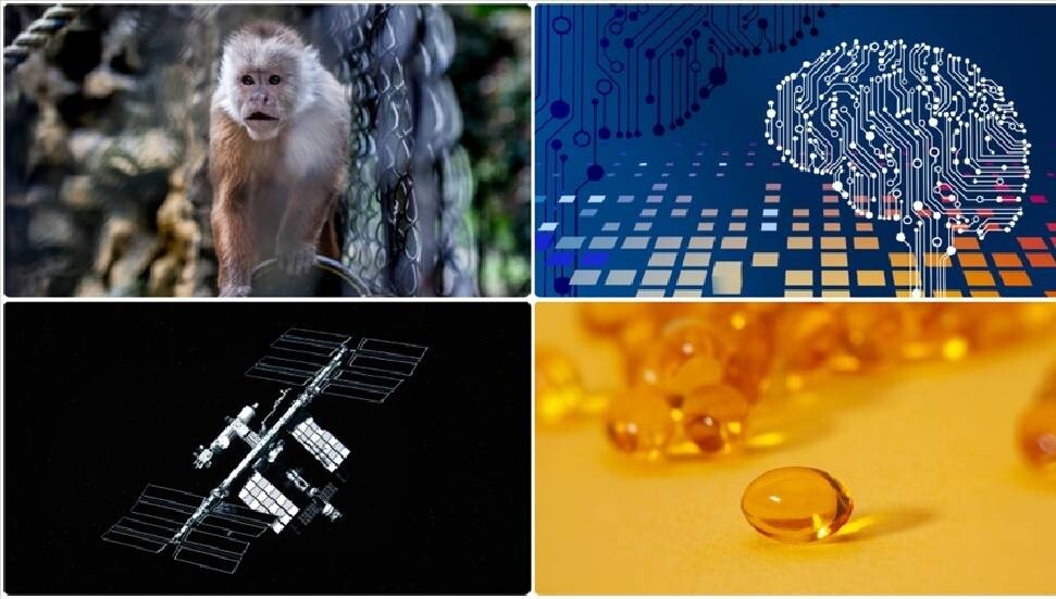 Uzay istasyonundaki yeni mikrop türünden fotoğraftan yaş analizine mayısın bilimsel gelişmeleri