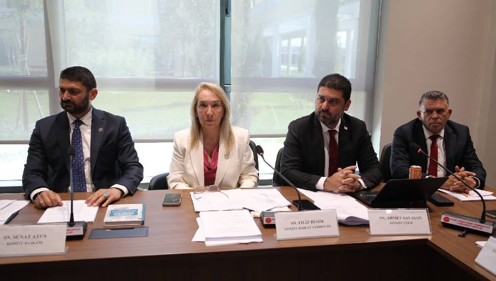 "Sağlık Hizmetleri Dairesi (Kuruluş, Görev ve Çalışma Esasları) Yasa Tasarısı" yeniden komitede