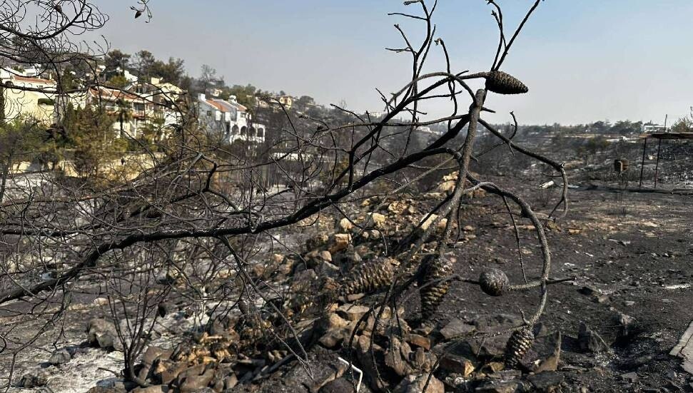 Limasol'daki yangına müdahale için Mısır'dan 2 uçak geldi
